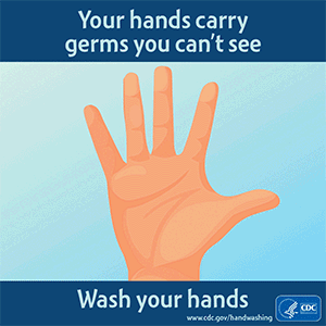 CDC.gov - Your hands carry germs you can not see. Wash your hands.
