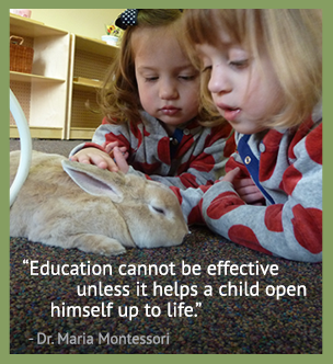 Education cannot be effective unless it helps a child open himself up to life. - Dr. Maria Montessori